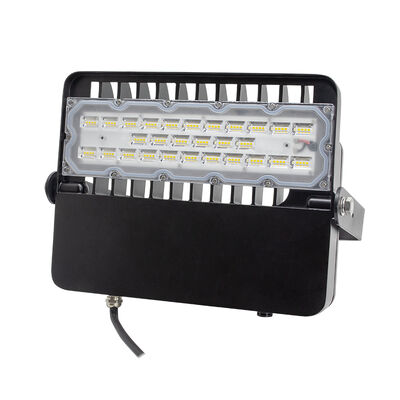 Đèn đèn LED ngoài trời hiệu quả cao 100W 48V DC
